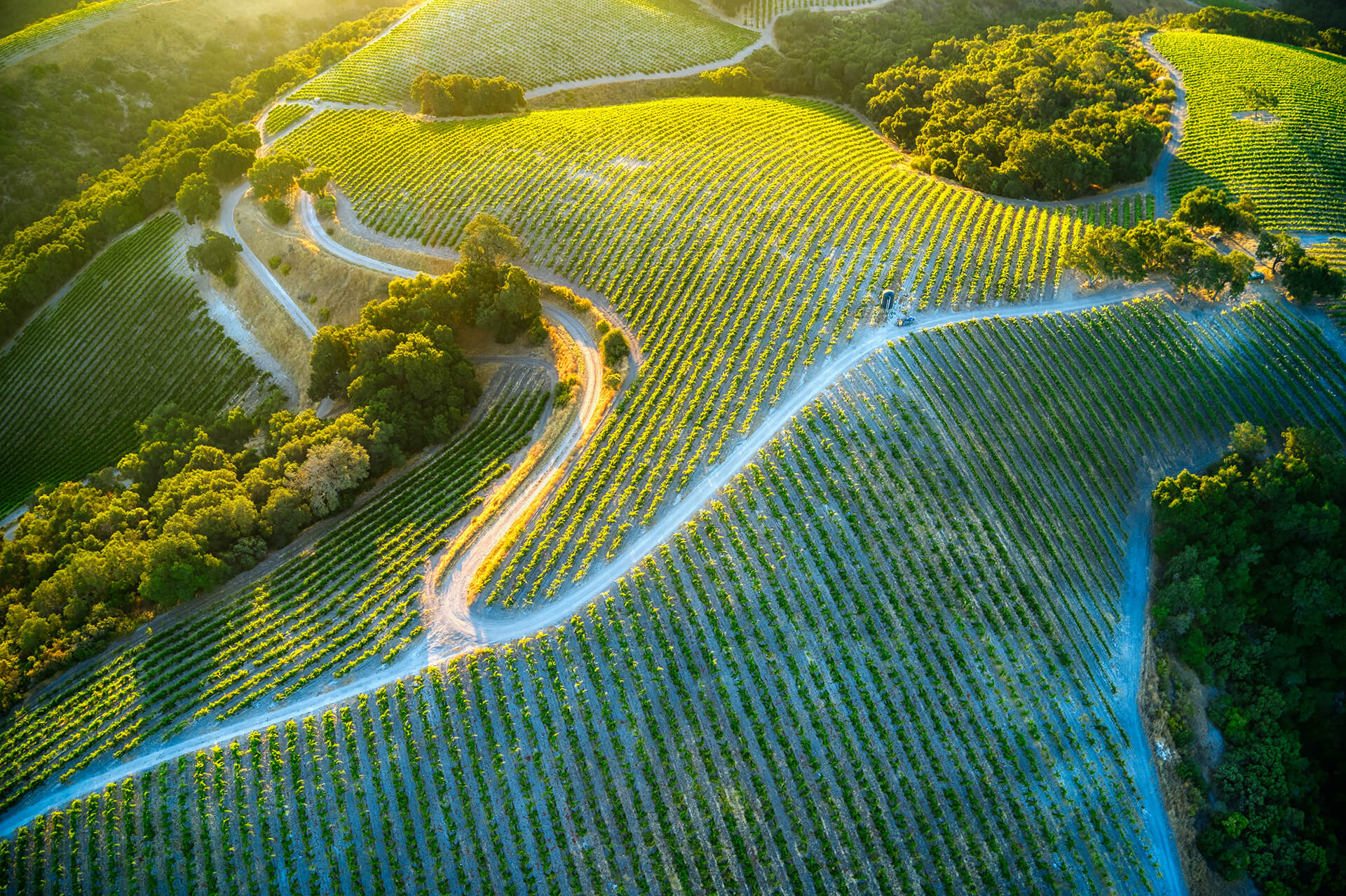 Tasting Tours