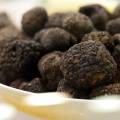 All About White and Black Truffles: The Differences and How to Choose the Best