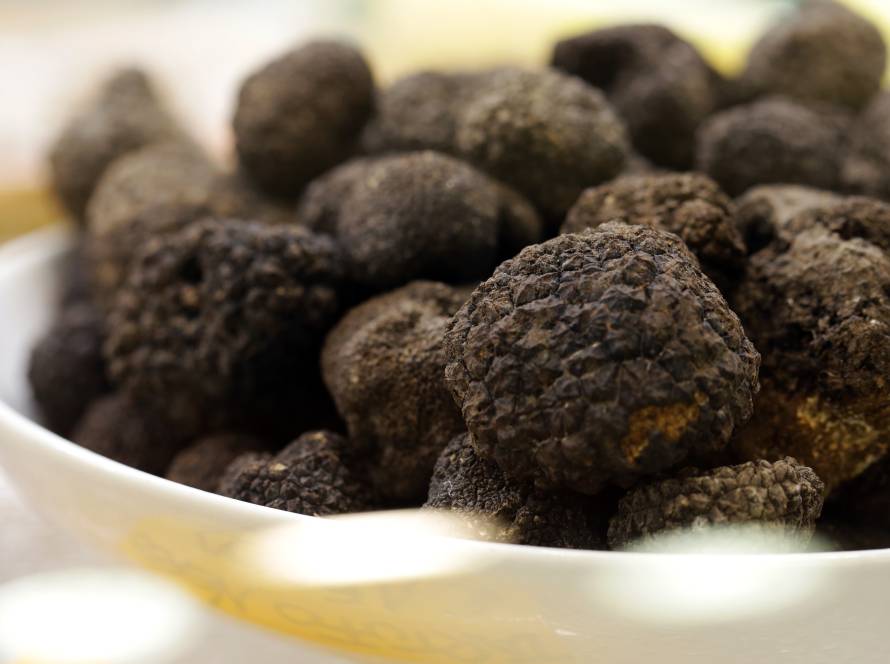 black and white truffle mushroom on the market