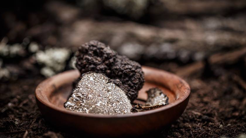 Black truffles slices in wooden plate