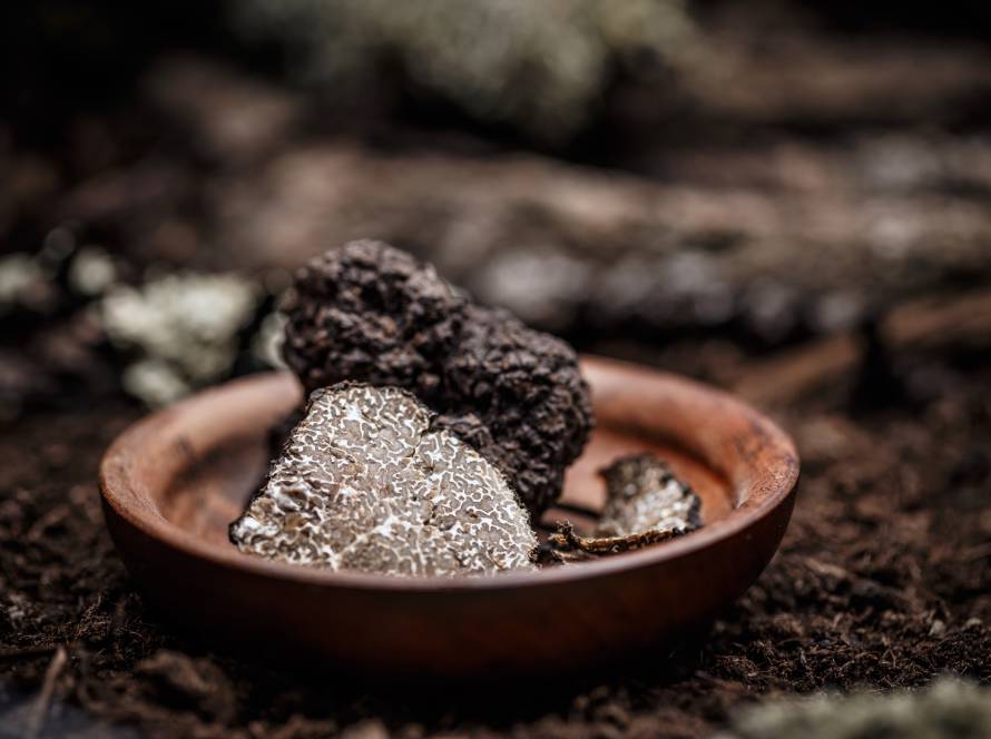 Black truffles slices in wooden plate