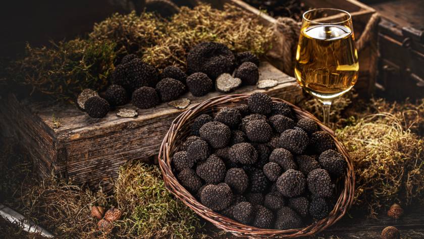 Freshly picked black truffles on market table with very fancy decoration