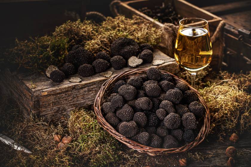 Freshly picked black truffles on market table with very fancy decoration