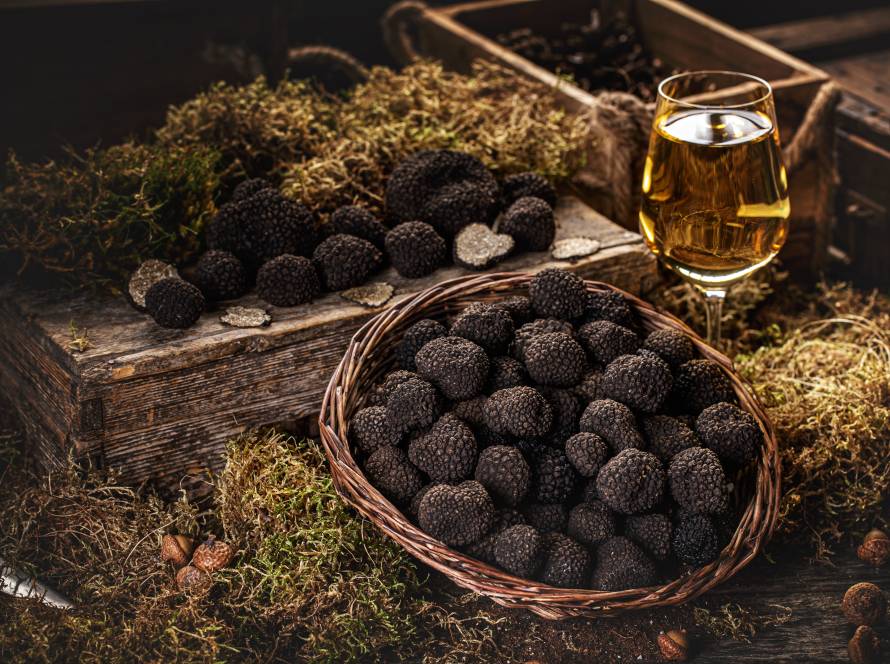 Freshly picked black truffles on market table with very fancy decoration