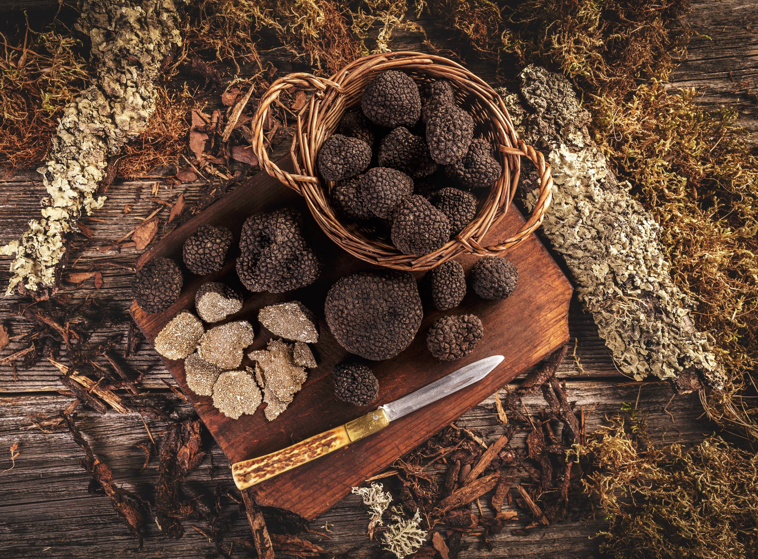 Exploring the World of Black Truffles: Taste, Aroma, and Culinary Uses