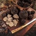 The Future of Truffle Production: Sustainable Farming and Conservation Efforts