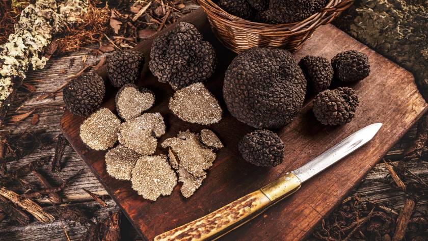 Black truffle with knife over rustic wooden cutting board