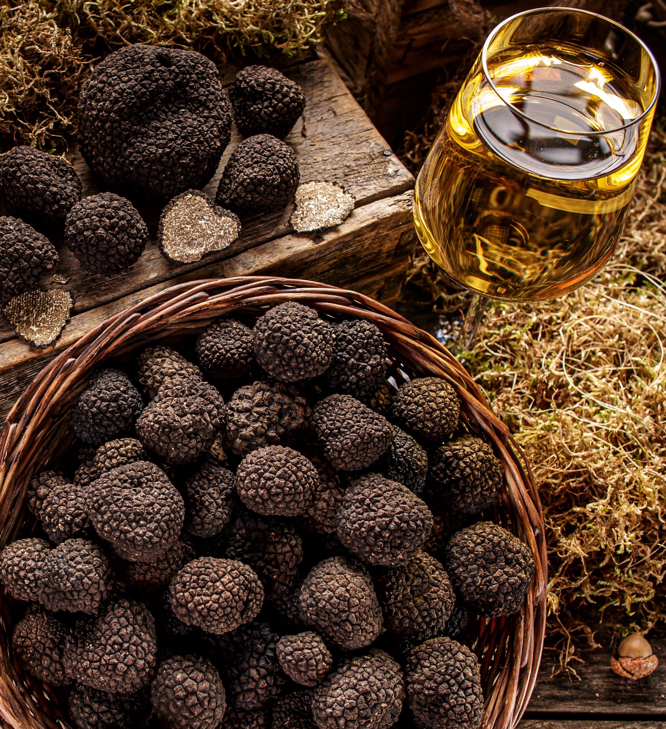 Uncovering the Mysteries of White Truffles: A Guide to the Rarest and Most Expensive Delicacy